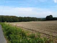 Vogelsang / Hohldörn