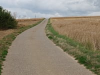Vogelzangstraat von Membruggen