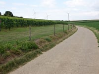 Vogelzangstraat von Membruggen