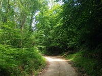 Volcà Can Tià / Coll de sa Rella über Cami de Sant Iscle