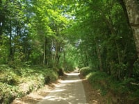 Volcà Can Tià / Coll de sa Rella über Cami de Sant Iscle