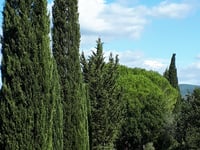 Volterra von Prato d'Era