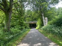 Vongshøj da Løgumgårde