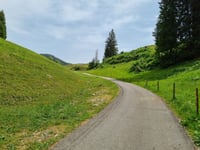 Vorder Höhi from Weesen