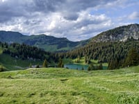 Vorderstockenalp da Erlenbach im Simmental