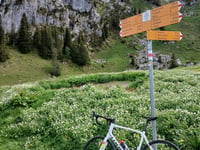 Vorderstockenalp da Erlenbach im Simmental