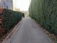 Vosdellestraat