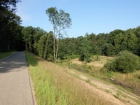 Vossenberg da Dilsen