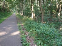 Vossenberg da Dilsen