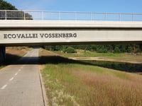 Vossenberg da Dilsen