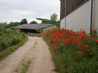 Vossenstraat von Nijswiller