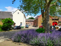 Vossenstraat von Nijswiller