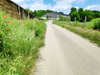 Vossenstraat von Nijswiller