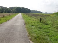 Vossenweg z Bergen op Zoom