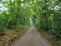 Vossenweg from Woensdrecht