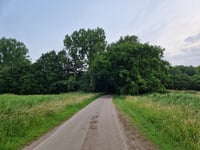 Vossenweg from Woensdrecht