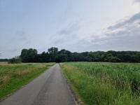 Vossenweg from Woensdrecht