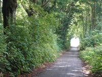 Vossenweg from Woensdrecht