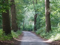 Vossenweg z Woensdrecht