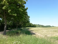 Ubachsberg via Vrakelbergerweg