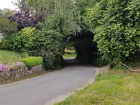 Vrijhernberg