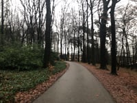Koningsoord