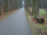 Koningsoord