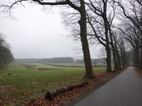 Koningsoord