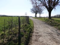 Vroelenveldweg von Noorbeek