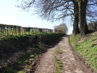 Vroelenveldweg von Noorbeek