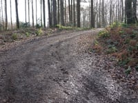 Vrouwenbos depuis Sint-Pieters-Voeren