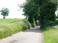 Vrouwendelweg