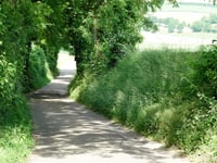 Vrouwendelweg
