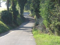 Vrouwendelweg