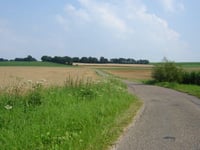 Vrouwendelweg