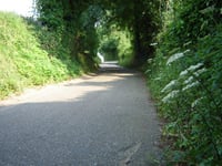 Vrouwendelweg