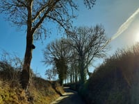 Vrouwendelweg