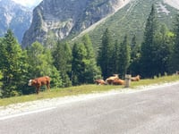 Vršič depuis Kranjska Gora