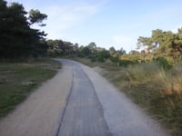 Vuurboetsduin