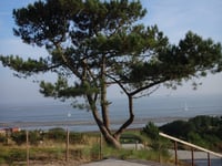 Vuurboetsduin