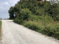 Vuurboetsduin