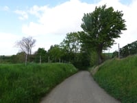 Wachelderberg from Voerendaal