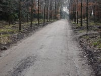 Wachtelenberg von Hattem