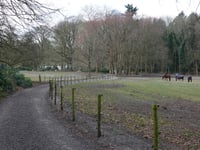 Wachtelenberg via Koeweg