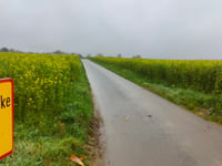 Wafelstraat da Schorisse