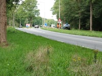 Wageningse Berg von Renkum