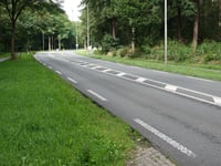 Wageningse Berg von Renkum