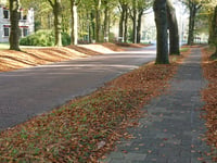 Generaal Foulkesweg from Wageningen