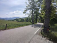 Wałbrzyska da Olszyniec