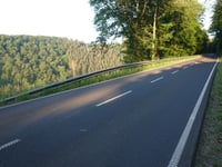 Waldbierg